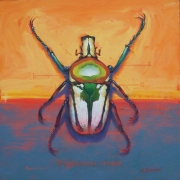 Beetle 3