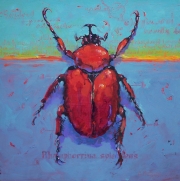 Beetle 4