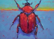 Beetle 4