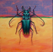 Beetle 8