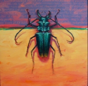 Beetle 8